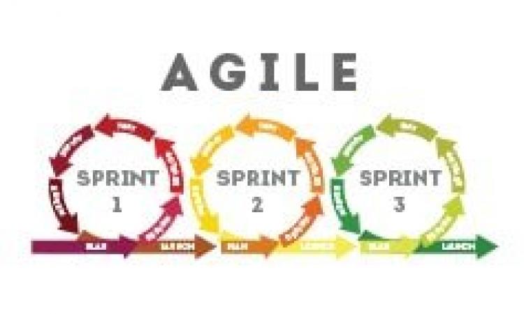 preparation for PMI Agile Certified Practitioner (PMI-ACP) - Virtual Learning