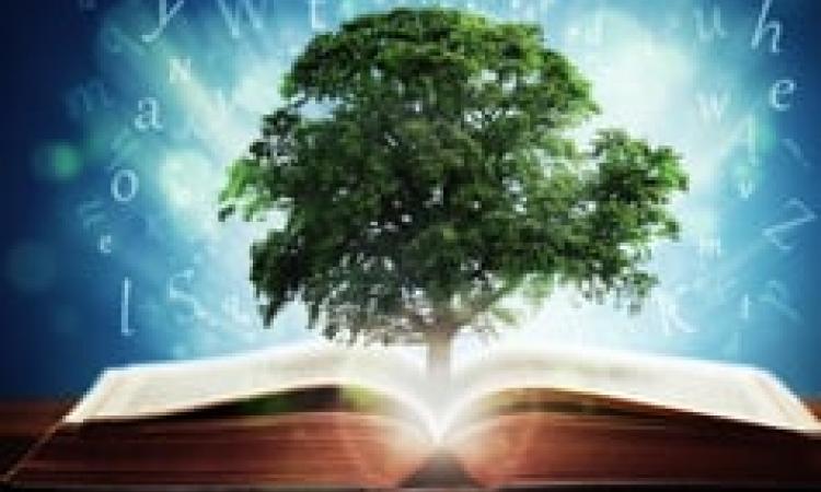 Learning and Development: Tools and Strategies - Virtual Learning