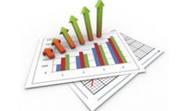 Financial Analysis Workshop - Virtual Learning