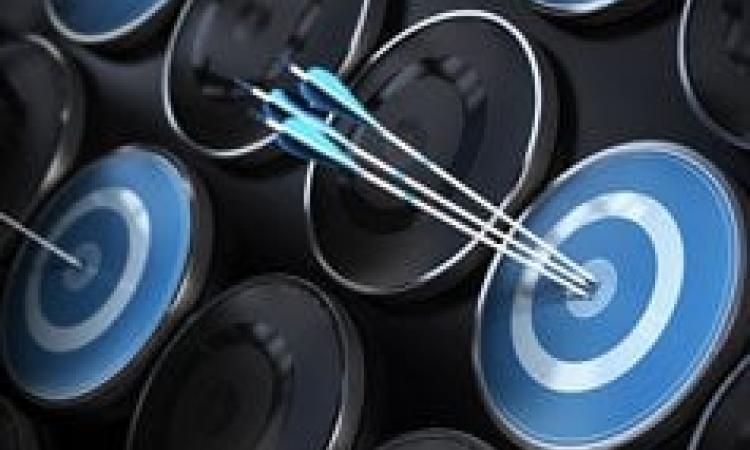 The Balanced Scorecard: Achieving Performance Excellence - Virtual Learning