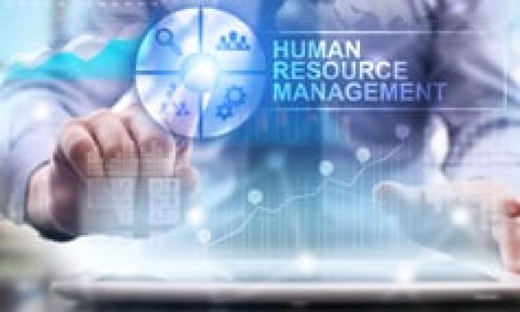 Human Resources KPIs: Benchmarking HR Performance - Virtual Learning