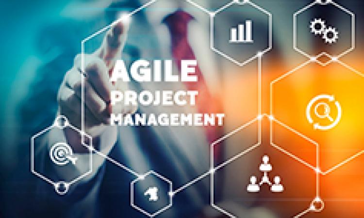 Managing Agile Projects - Virtual Learning