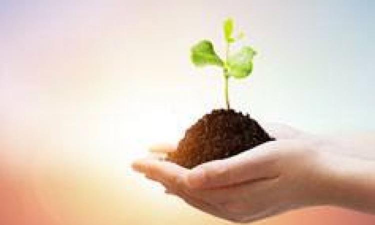  Corporate Social Responsibility (CSR)
