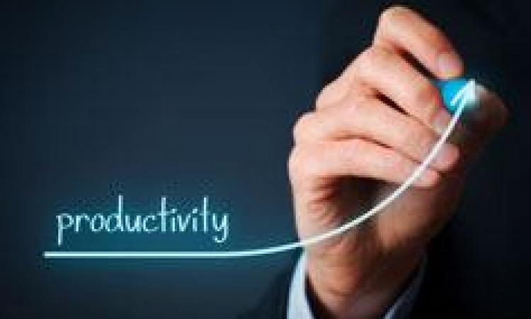 Improving Productivity through Quality Enhancement and Cost Reduction - Virtual Learning