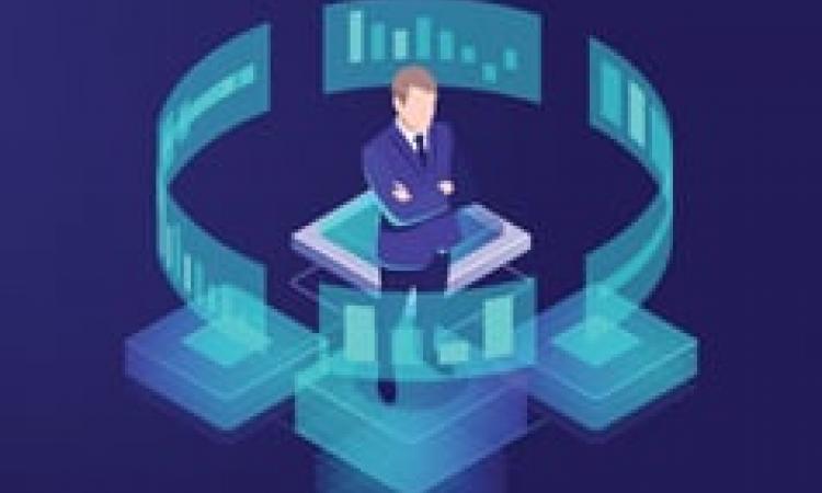 Professional HR Data Analyst - Virtual Learning