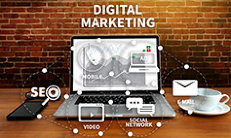 Digital Marketing Practitioner - Virtual Learning