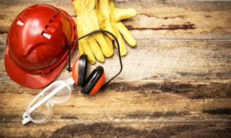 Behavior-Based Safety - Virtual Learning