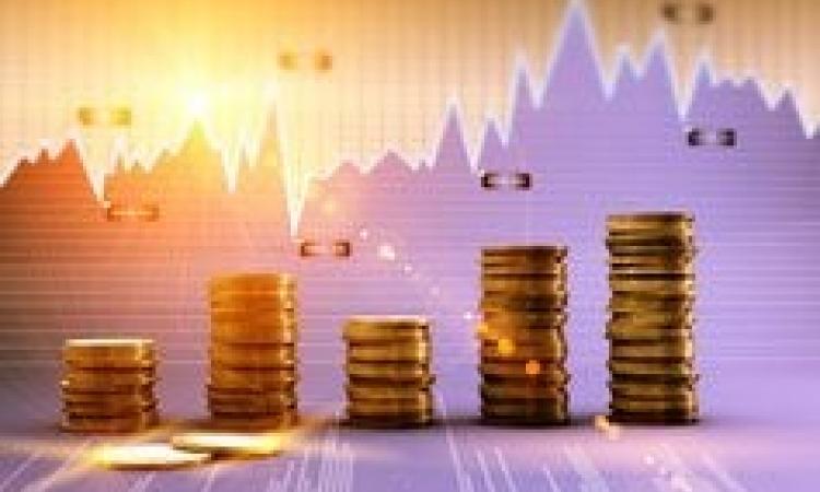 Finance for Non-Finance Professionals - Virtual Learning