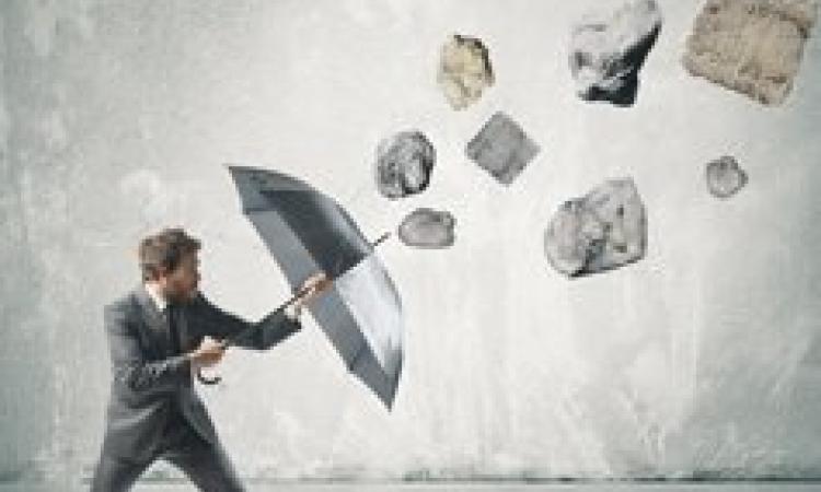 Certified Crisis Management Professional - Virtual Learning