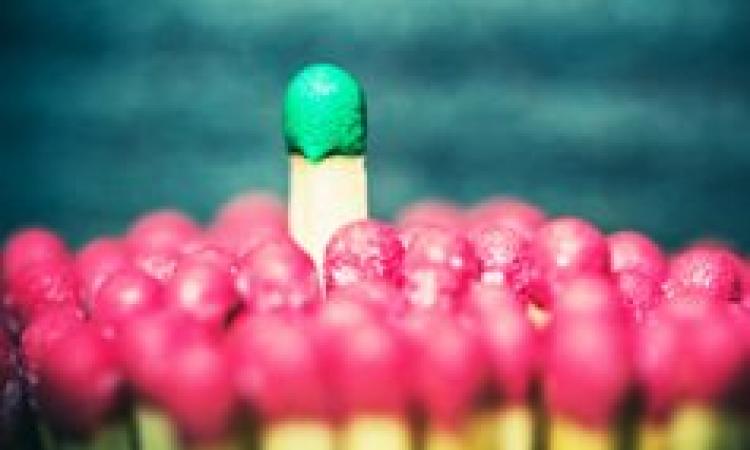 Adaptive Leadership: Tools and Tactics - Virtual Learning
