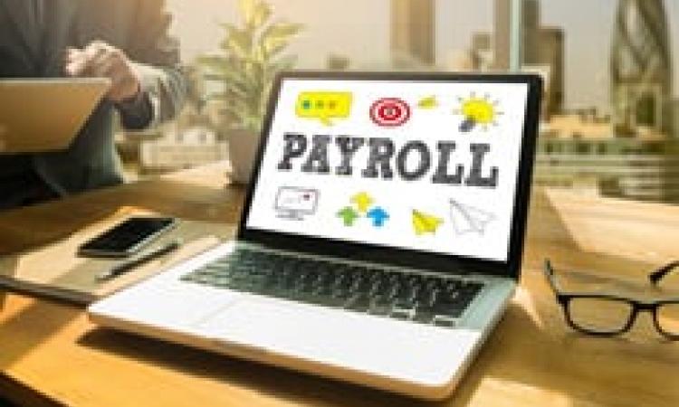 Payroll: Preparation, Analysis and Management