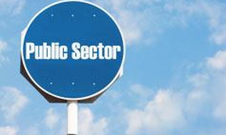 Strategy Management in the Government and Public Sectors - Virtual Learning