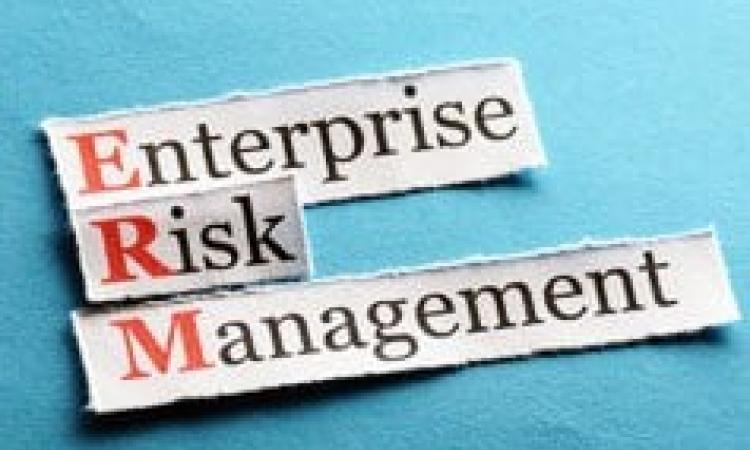 Enterprise Risk Management