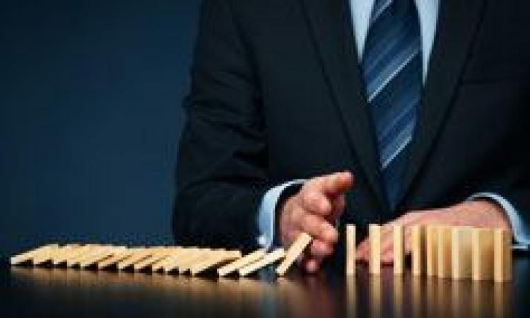 Project Risk Management - Virtual Learning