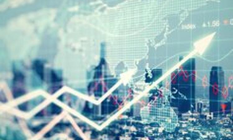 Mastering the Essentials of the Global Financial Industry - Virtual Learning