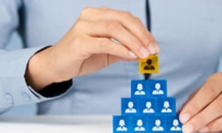 Professional Skills for Human Resources Management - Virtual Learning