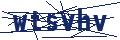 Dash Inspectorate