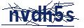 Dash Inspectorate