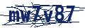 Dash Inspectorate