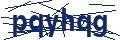 Dash Inspectorate