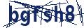 Dash Inspectorate