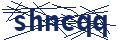 Dash Inspectorate