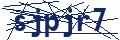 Dash Inspectorate