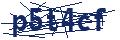 Dash Inspectorate
