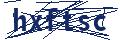 Dash Inspectorate