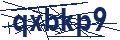 Dash Inspectorate
