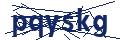Dash Inspectorate
