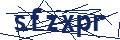 Dash Inspectorate