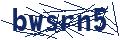 Dash Inspectorate