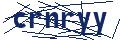 Dash Inspectorate