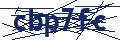 Dash Inspectorate