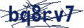 Dash Inspectorate