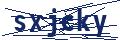 Dash Inspectorate