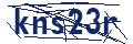 Dash Inspectorate