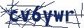 Dash Inspectorate