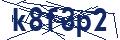 Dash Inspectorate