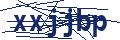 Dash Inspectorate