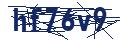 Dash Inspectorate