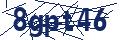 Dash Inspectorate