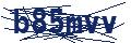 Dash Inspectorate