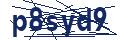 Dash Inspectorate