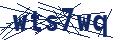 Dash Inspectorate