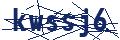 Dash Inspectorate