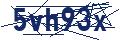 Dash Inspectorate
