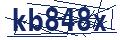 Dash Inspectorate