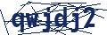 Dash Inspectorate